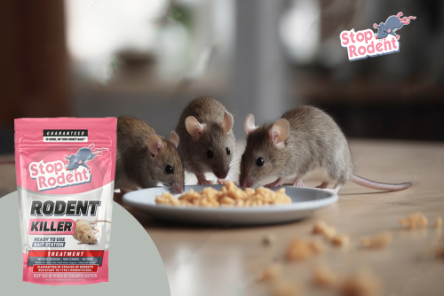The science behind our anti-rodent formula revealed : How rodent killer deals with infestations precisely and safely