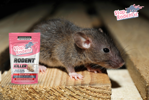 Anti-rodent solutions for different types of rodents?