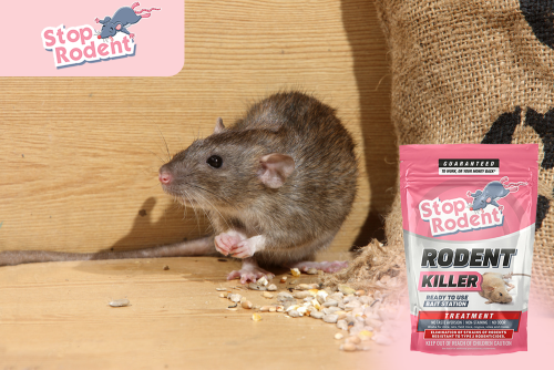 What is the shelf life of rodent bait?