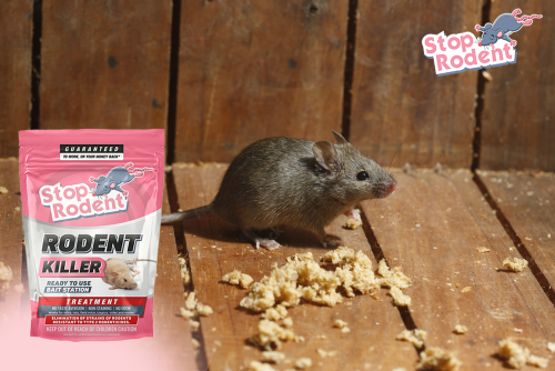 How can you prevent rodent baits from attracting other non-target animals?