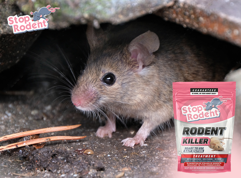 What rodent control options are available in United States ?