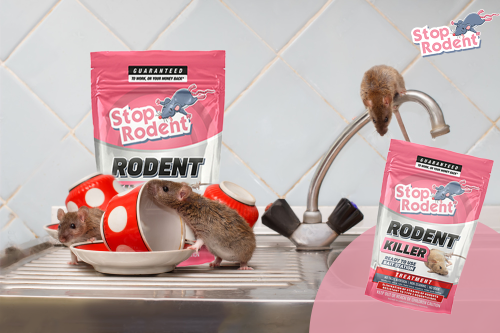 What is the first choice of professionals in the field of rodent control?