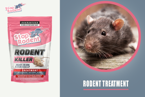 How to protect your garden with our anti-rodent product?