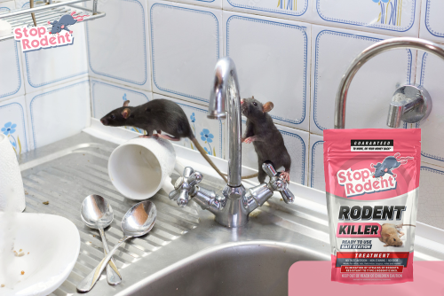 How to ensure safe use of Rat Poison to effectively protect your home?