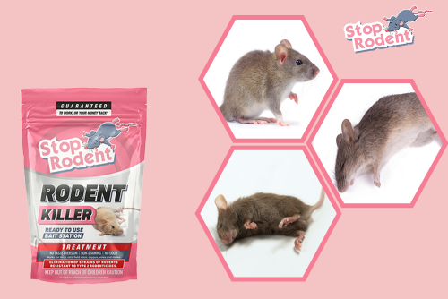 Is rat kills legal in United states?