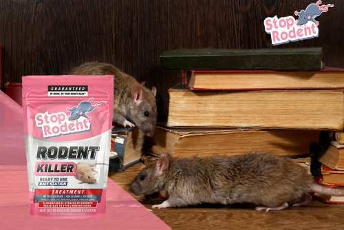 Protecting your business from rodents : A complete guide to a healthy work environment