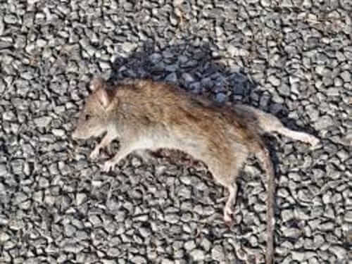 Image #1 from Armand S.