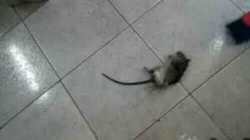 Image #1 from Mathias C.