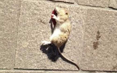 Image #1 from Octave C.