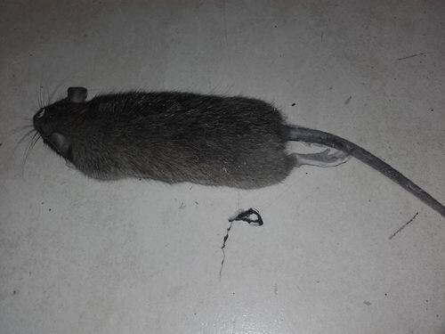 Image #1 from Tim H.