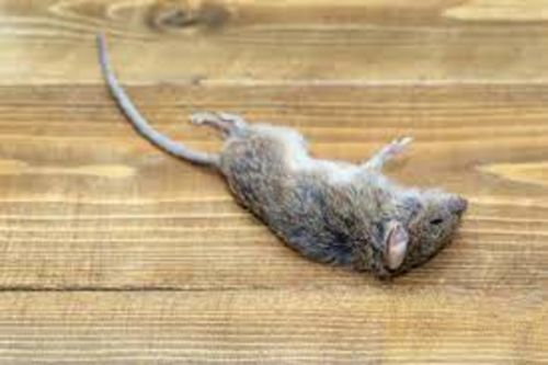 Image #1 from Kate A.