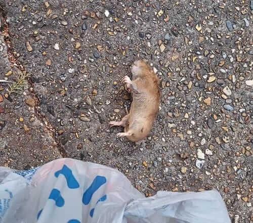 Image #1 from Anne M.