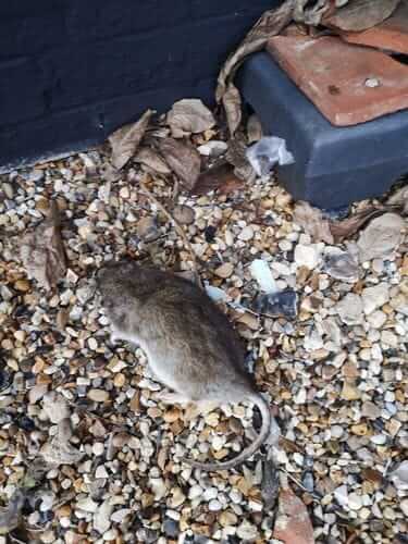 Image #1 from Marion R.